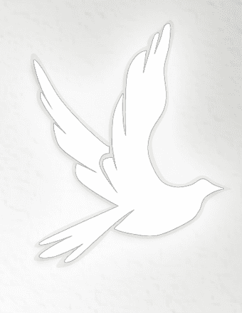 Raymond J Lane Obituary
