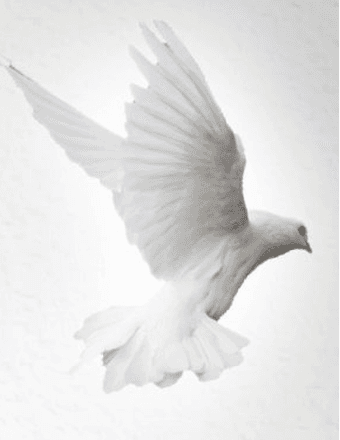 Katharina (Hartl) Prunkl Obituary